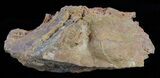 Chalcedony Pseudomorph After Hematite - Czech Republic #60774-1